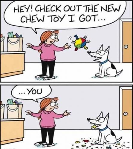 09:04:43 GMT-0400 (EDT)