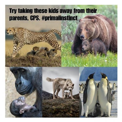 15:31:26 GMT-0700 (MST)