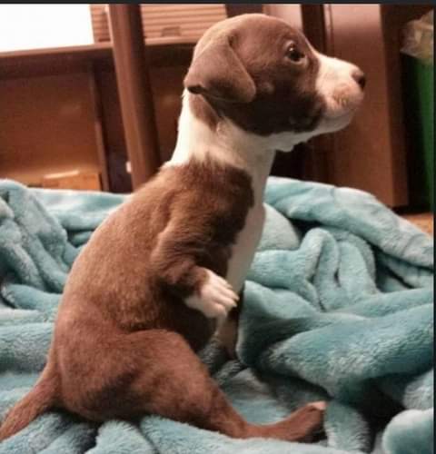 22:48:28 GMT-0700 (PDT)