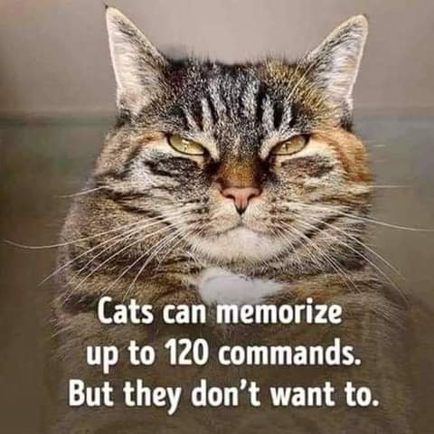 23:00:53 GMT-0700 (PDT)