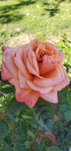 17:54:52 GMT-0700 (PDT)