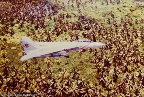 175833885_3720317494743271_6450913363692203778_n