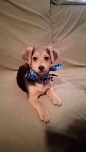 16:05:16 GMT-0400 (EDT)