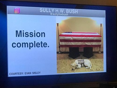 8C58F2D8-D110-4ED0-8E22-B8FB87B79B9F