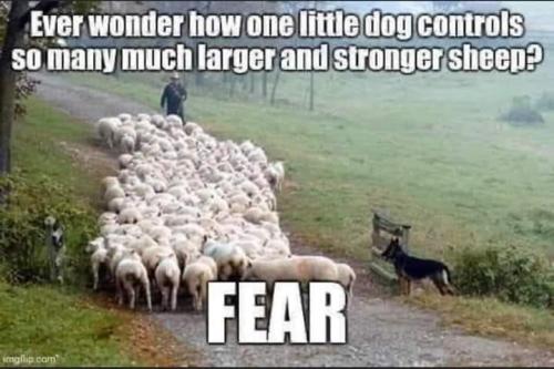 19:42:51 GMT-0500 (CDT)