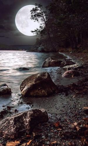 169266254_1837819919717545_8686606961146151038_n