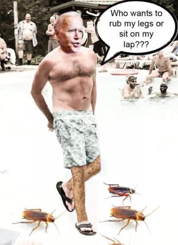 77031644_10220584108538123_3364287370886119424_n