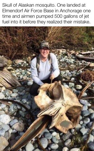 18948CDD-5934-418C-972D-F9CCE8CF6C7A