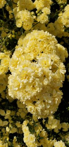 13:15:18 GMT-0700 (PDT)