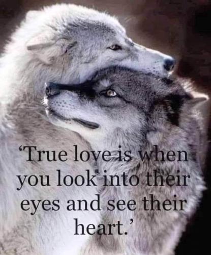 20:47:31 GMT-0500 (CDT)