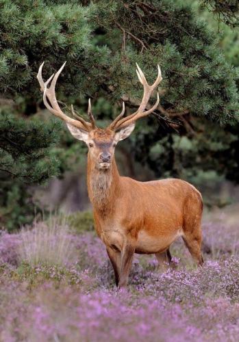 171709201_1551798541686157_5486865239162721627_n