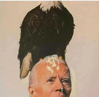 124911144_1752228034925100_7304864818673072279_o