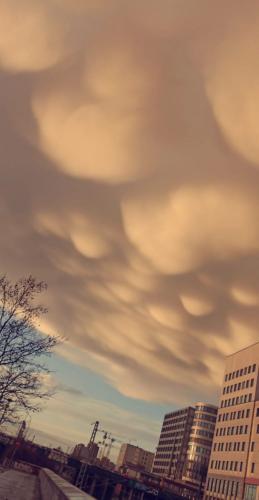 E8AD9FC0-2EF1-4AB4-BDAA-5E37CA8788A6