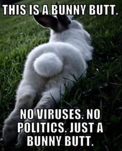 12:06:05 GMT-0700 (PDT)