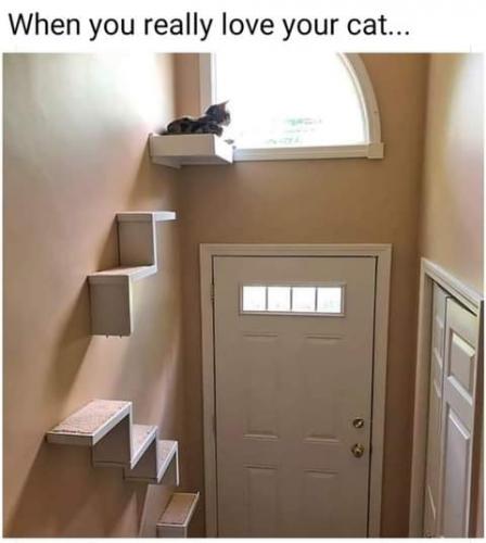 20:25:09 GMT-0700 (PDT)