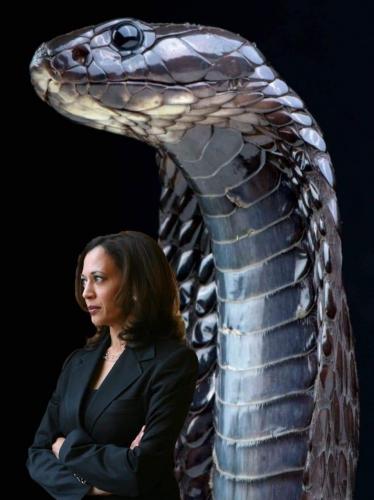 17:13:13 GMT-0500 (CDT)