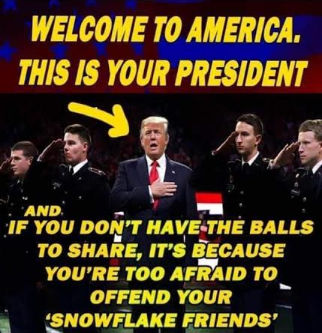 ztrump229