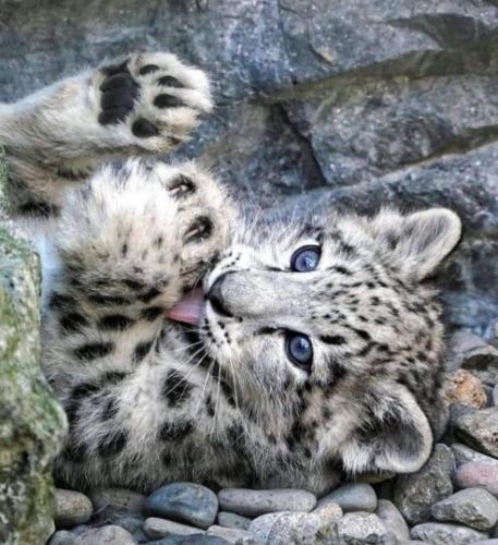 22:45:11 GMT-0500 (CDT)