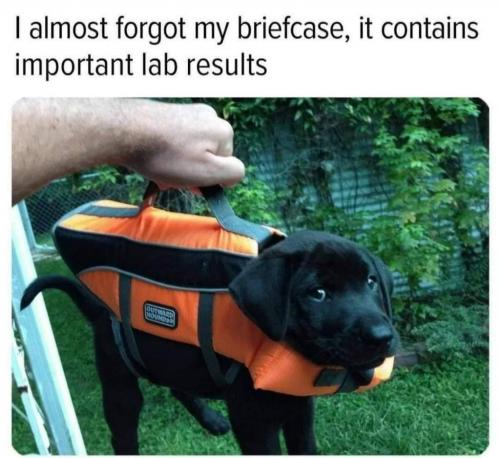 17:00:30 GMT-0400 (EDT)