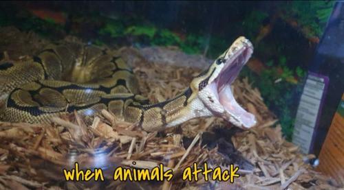 14:41:03 GMT-0400 (EDT)