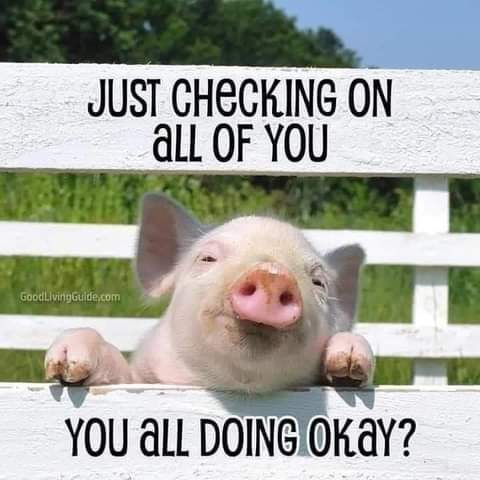 15:15:01 GMT-0700 (PDT)