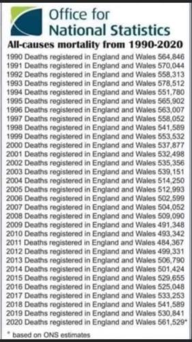 FB_IMG_1618040674744