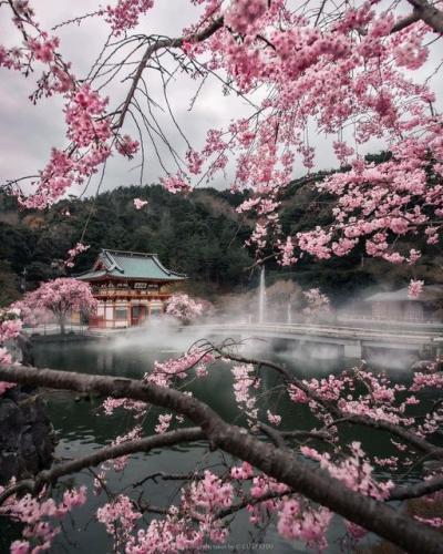 174602286_2546440745502764_1486457954379939962_n