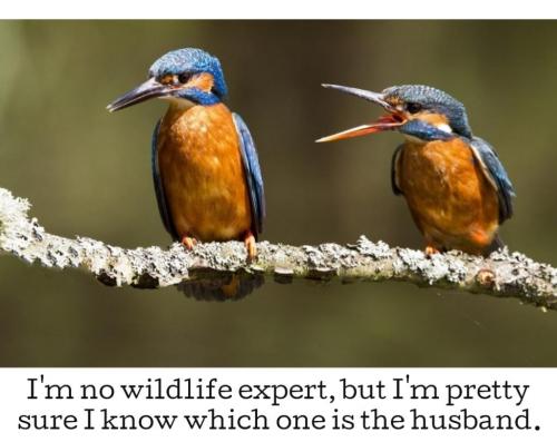 22:37:01 GMT-0700 (PDT)