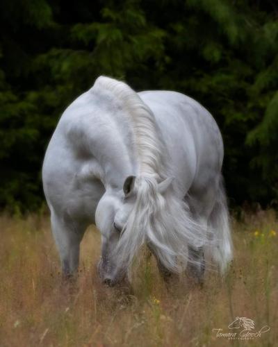 13:55:05 GMT-0500 (CDT)