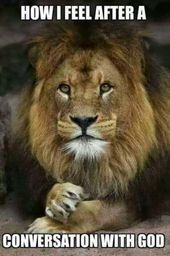 FB9E73D6-9EAC-4645-A60F-127EA18D836B