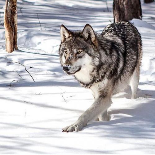 4afc45a3dca89e32b6c092e308bdbd1f