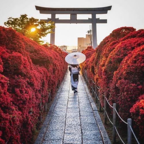 177019790_825155594806676_6308483717539518099_n