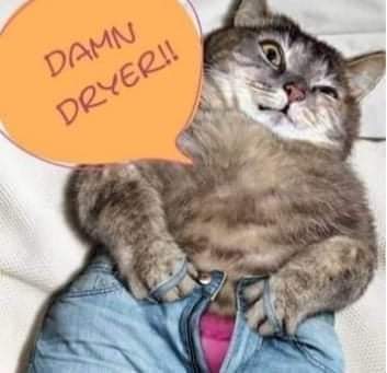 19:37:18 GMT-0700 (PDT)