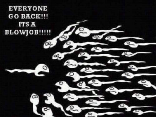 45619526_700507903664117_4425916768636108800_n