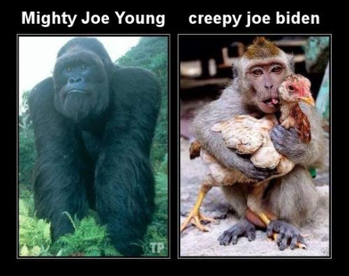 biden469