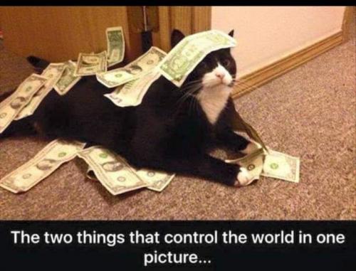 13:20:54 GMT-0400 (EDT)