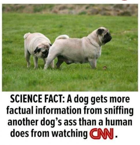 21:06:21 GMT-0400 (EDT)