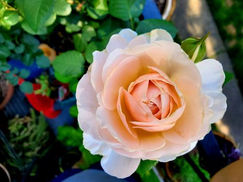 18:36:06 GMT-0500 (CDT)