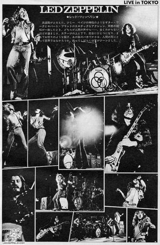 13435444_10204836354868854_7830826144108898005_n