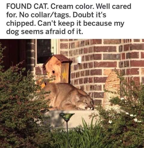 20:09:20 GMT-0700 (PDT)