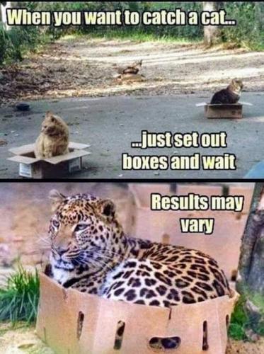 13:36:54 GMT-0700 (PDT)