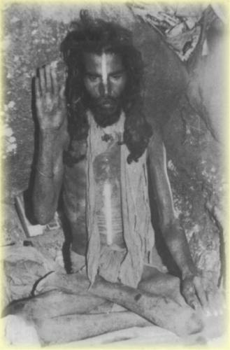 ,                                                                                                                                                                                                                       0   a9