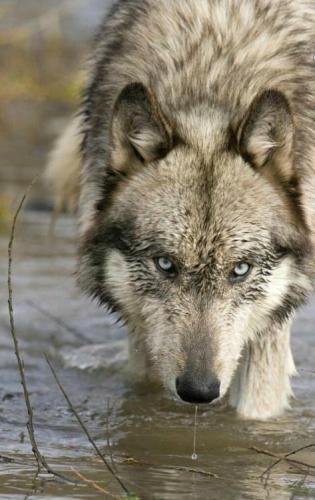 3e2ecb28296589575c2da1e9248da579