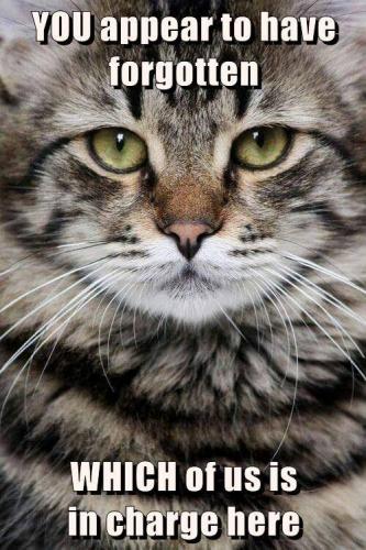 117145935_3829189987096482_3270485613126042368_n