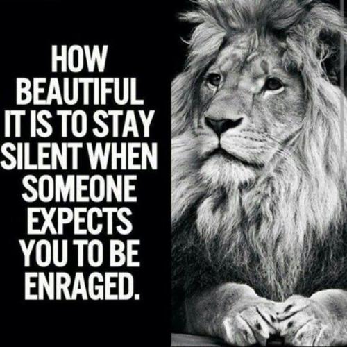 18:31:54 GMT-0500 (CDT)