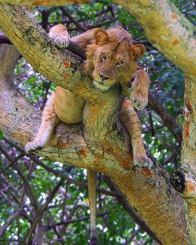 172517866_1843067212526149_3064542205896479303_n