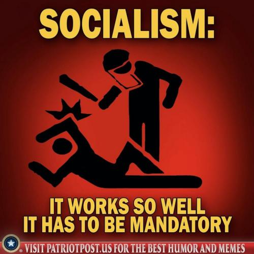 mandatory socialism