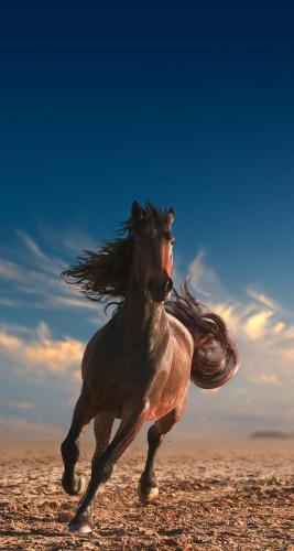 1ff5b8b046497277ef864df616567d46