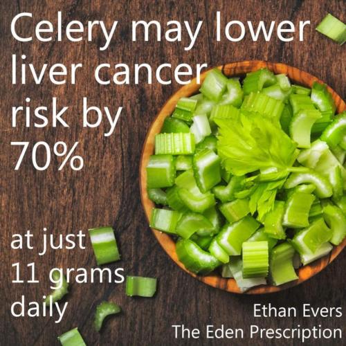 15:56:48 GMT-0600 (MDT)