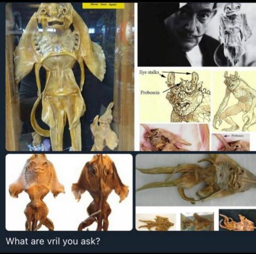 0C0D2C26-8B09-492E-8681-9BA83E92388A